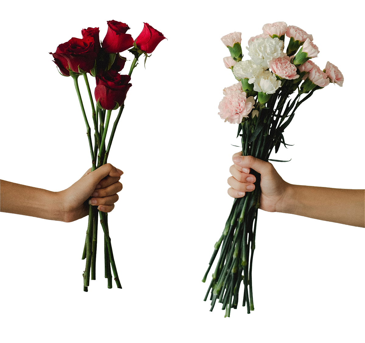 hands with flowers image, hands with flowers png, transparent hands with flowers png, hands with flowers PNG image, hands with flowers, hands with flowers png hd images download
